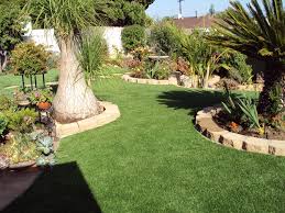Image for Fake Grass Guys with ID of: 1765747