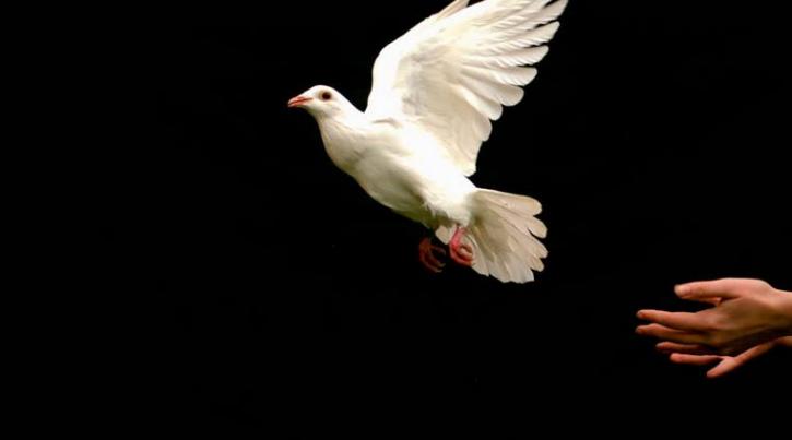 Image for Mile High Funeral & Cremation Services with ID of: 1765775