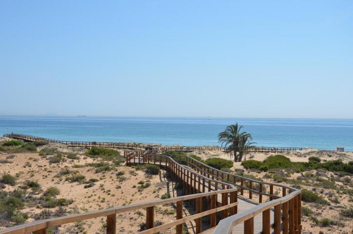 Image for Discover the Real Spain with ID of: 1766570