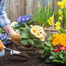 Image for Furr Lawn & Landscape with ID of: 1766914