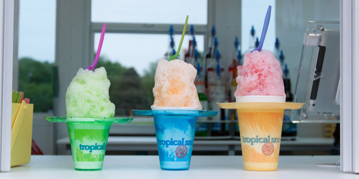 Image for Tropical Sno with ID of: 1766949