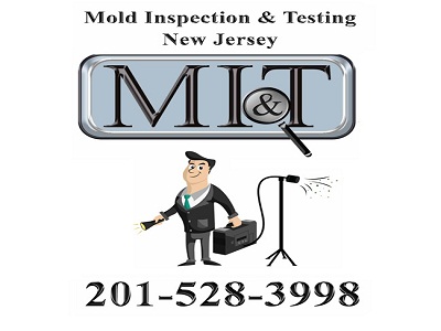 Image for Mold Inspection & Testing New Jersey with ID of: 1766953