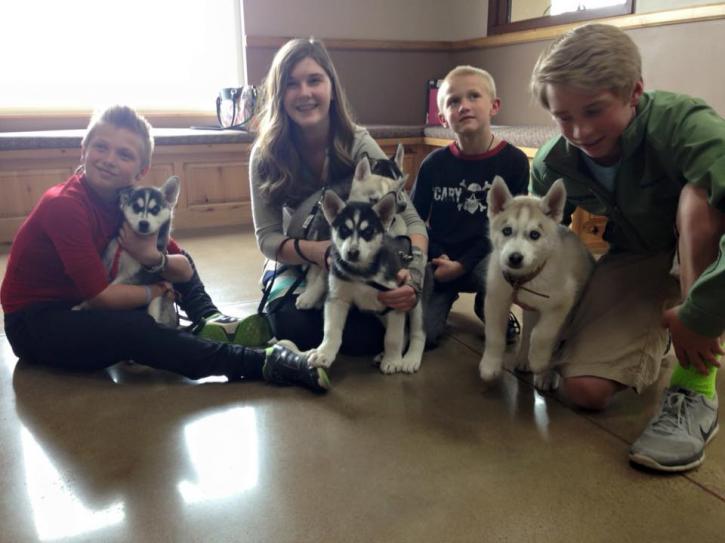 Image for Alpine Animal Hospital with ID of: 1767139