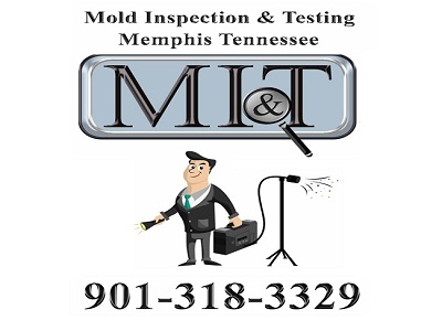 Image for Mold Inspection & Testing Memphis with ID of: 1767487