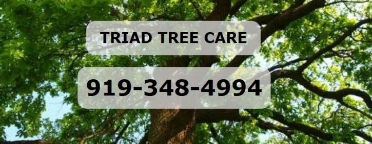 Image for Triad Tree Care with ID of: 1769311