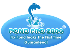 Image for Pondpro2000 with ID of: 1770744