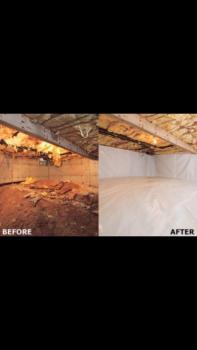 Image for Absolute Foundation Repair Services with ID of: 1772664