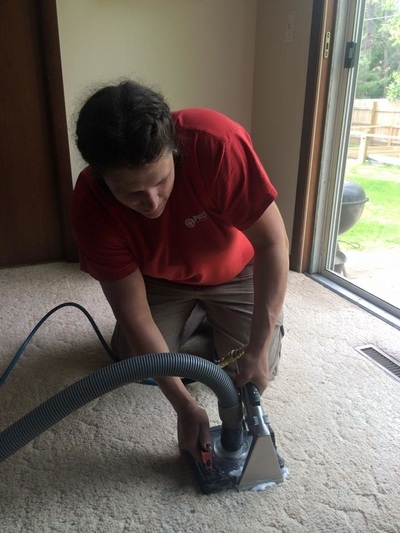 Image for Wisconsin Rapids Carpet Cleaner with ID of: 1773921