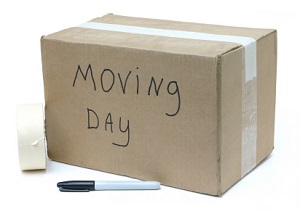 Image for Busy Beez Movers with ID of: 1774603