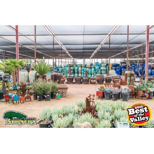 Image for Desert Horizon Nursery with ID of: 1775097