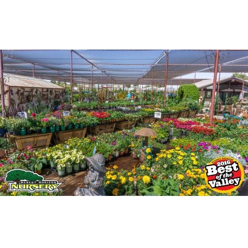 Image for Desert Horizon Nursery with ID of: 1775100
