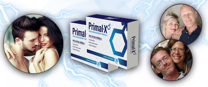 Image for Functioning method for Primal-X. with ID of: 1775484