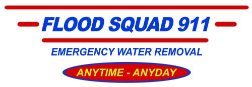 Image for Flood Squad 911 with ID of: 1775577