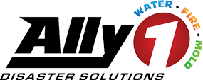 Image for Ally1 Disaster Solutions with ID of: 1778977