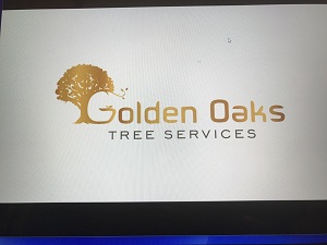 Image for Golden Oaks Tree Services with ID of: 1779149