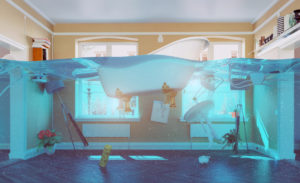 Image for Reets Drying Academy with ID of: 1779572