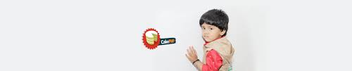 Image for Cake PHP Design and Development Services - Consagous with ID of: 1781588