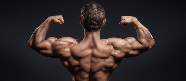 Image for Enhanced physical performance with ID of: 1783039
