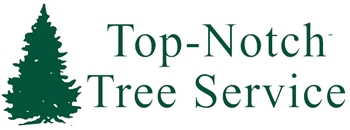 Image for Tree Removal Service is just a click away! with ID of: 1783538