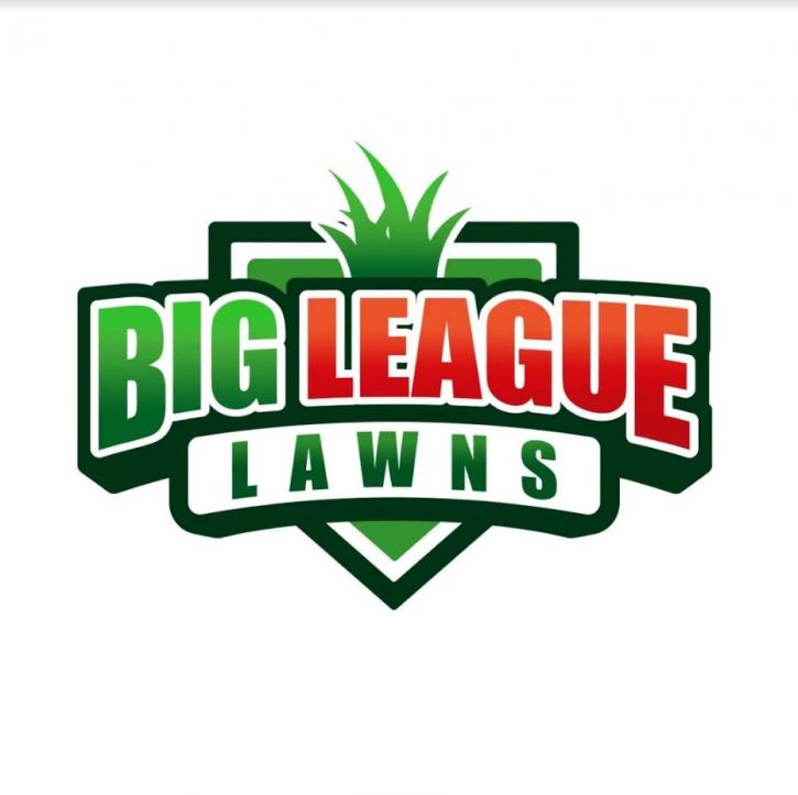 Image for Big League Lawns with ID of: 1783719