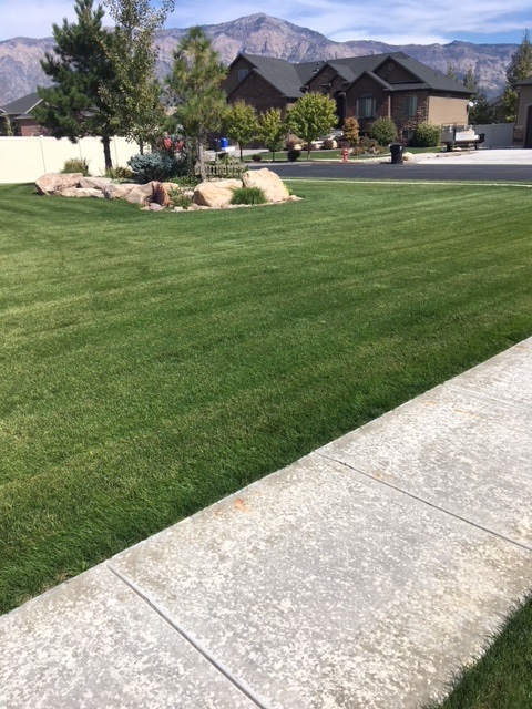 Image for Big League Lawns with ID of: 1783740