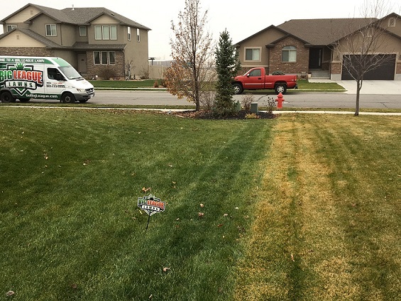 Image for Big League Lawns with ID of: 1783748