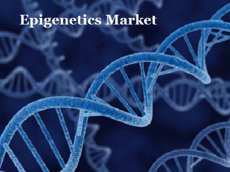 Image for Global Epigenetics Market 2016 Industry Analysis & Forecast 2024 with ID of: 1783750