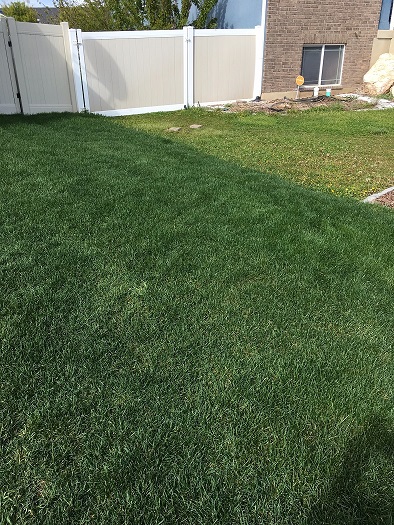 Image for Big League Lawns with ID of: 1783752