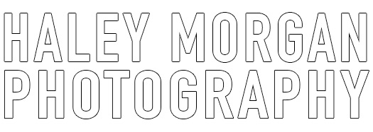 Image for Haley Morgan Photography with ID of: 1787118