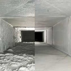 Image for All Shine Cleaning Service with ID of: 1787271
