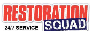 Image for Restoration Squad with ID of: 1787425