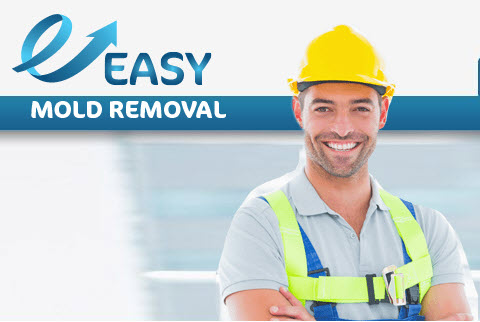 Image for Ez Mold Removal with ID of: 1787441
