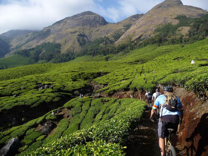 Image for Make an adventure trip to the land of Beauty, Kerala with ID of: 1787809