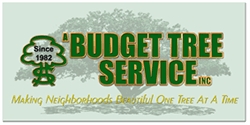 Image for A Budget Tree Service, Inc. with ID of: 1787954