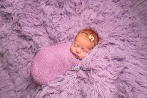 Image for Lilac Meadows, LLC with ID of: 1788555