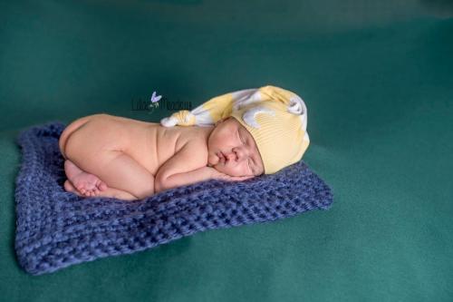 Image for Lilac Meadows, LLC with ID of: 1788572