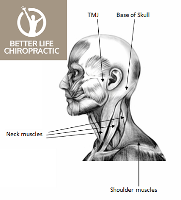 Image for Better Life Chiropractic Centre with ID of: 1791165