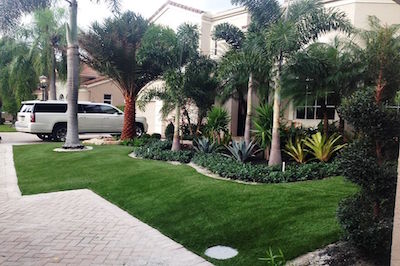 Image for Las Vegas Tree Trimmers with ID of: 1793103
