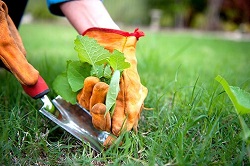 Image for Landscaping Lehi with ID of: 1793652