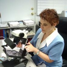 Image for Accurate Gem Lab, Inc with ID of: 1796918
