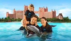 Image for Superior Cruise & Travel with ID of: 1799127