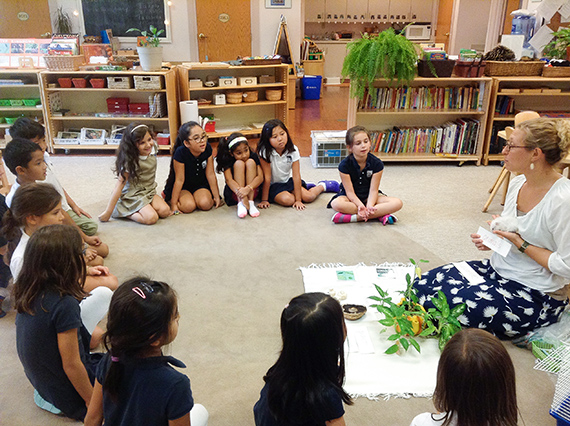 Image for Primary Montessori Day School with ID of: 1800264