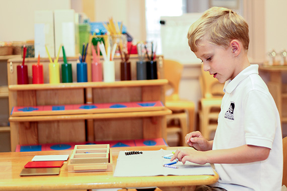 Image for Primary Montessori Day School with ID of: 1800265