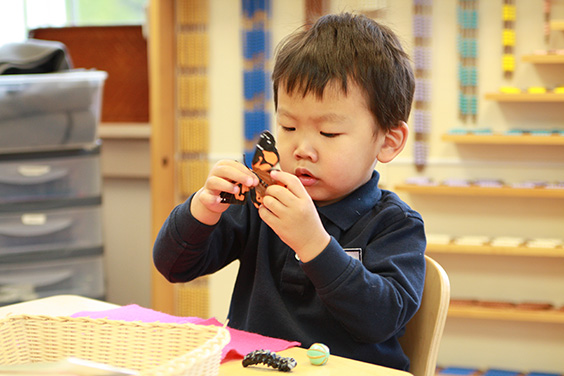 Image for Primary Montessori Day School with ID of: 1800268