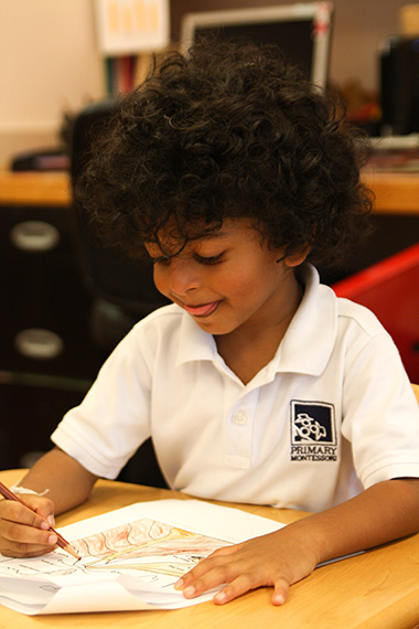 Image for Primary Montessori Day School with ID of: 1800278