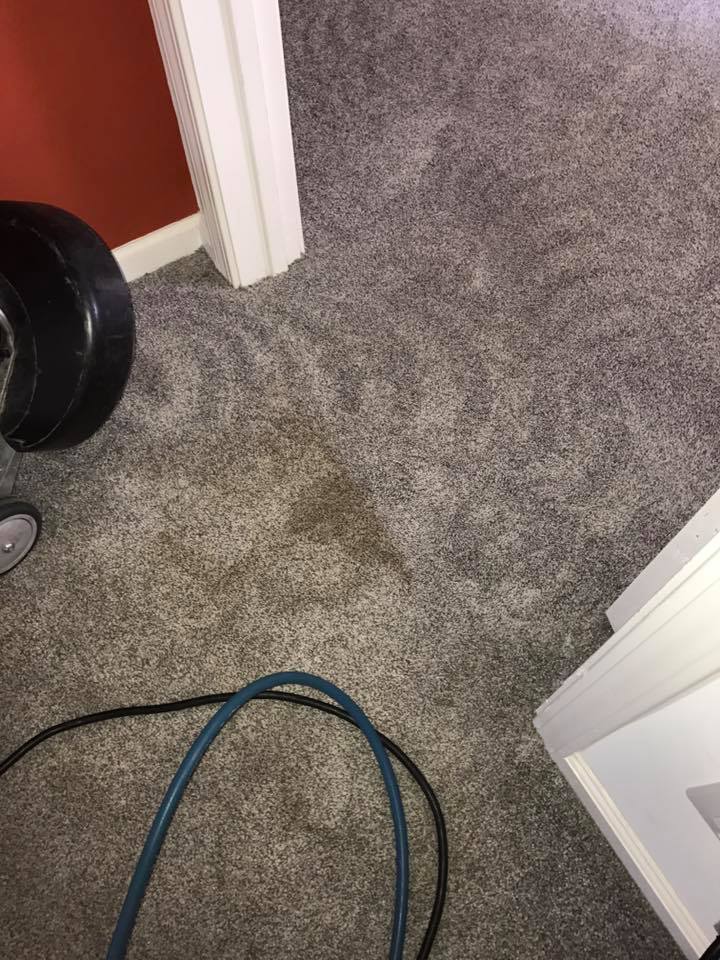 Image for Make It Clean with ID of: 1801444