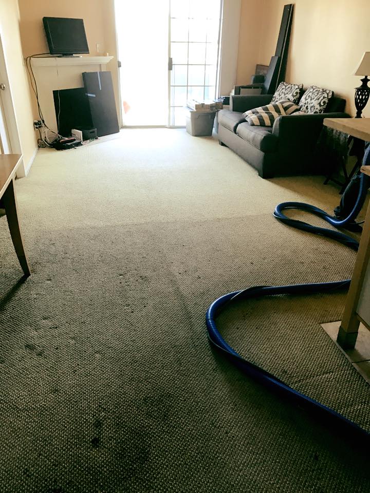 Image for Make It Clean with ID of: 1801447