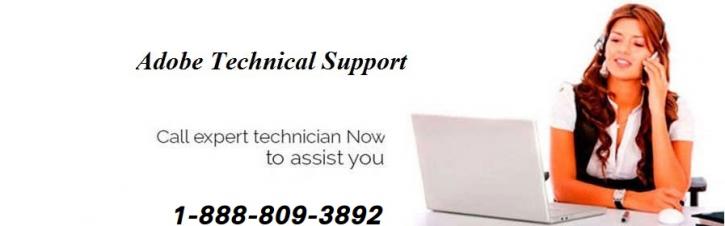 Image for Connect to Adobe Flash Player Technical Support 1-888*809*3892 Phone Number with ID of: 1802493