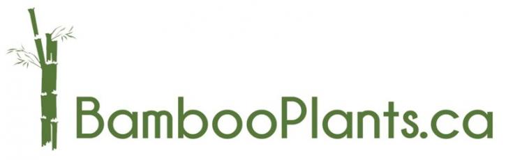 Image for bambooplantsca with ID of: 1803707