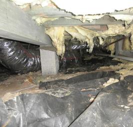 Image for Southeastern Foundation & Crawlspace Repair with ID of: 1806266